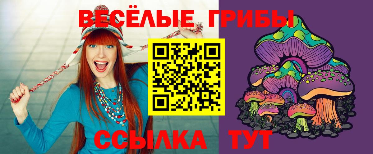 Прохладный  Галлюциногенные грибы MAGIC MUSHROOMS  Псилоцибиновые грибы мицелий  Вход с VPN 