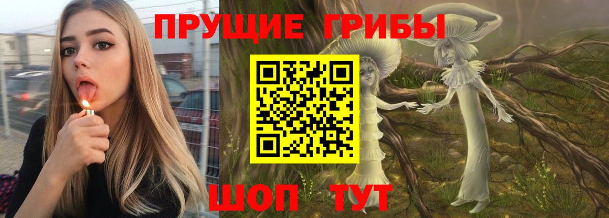 Псилоцибиновые грибы MAGIC MUSHROOMS Прохладный